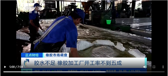 膠水不足，橡膠加工廠開工率不到五成