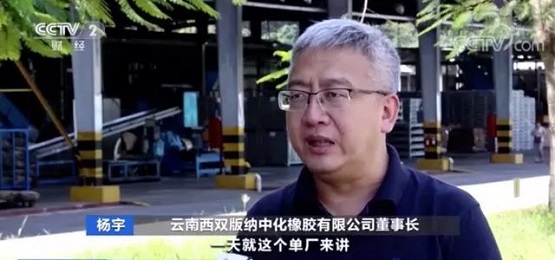云南西雙版納中化橡膠有限公司董事長 楊宇 云南西雙版納中化橡膠有限公司董事長 楊宇
