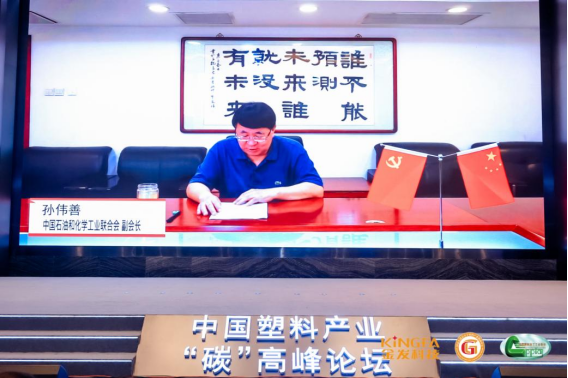 中國(guó)石油和化學(xué)工業(yè)聯(lián)合會(huì)副會(huì)長(zhǎng) 孫偉善(視頻致辭)