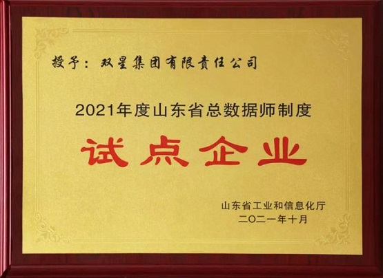 雙星輪胎進(jìn)入試點(diǎn)企業(yè)名單！