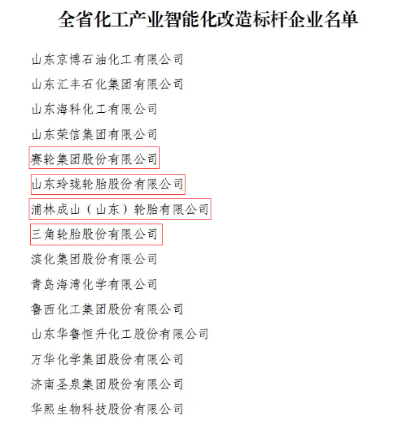 四大輪胎廠商，成為標(biāo)桿