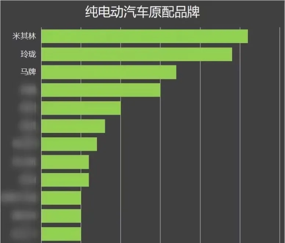 圖片來(lái)源于輪胎商業(yè)網(wǎng)《中國(guó)原配輪胎排行榜2020》
