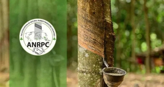 ANRPC預計2021年全球天橡膠產量1386 萬噸