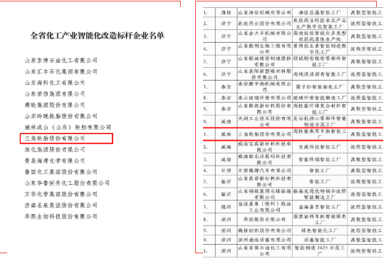 三角輪胎獲評山東省兩個(gè)“智能化”獎項(xiàng)