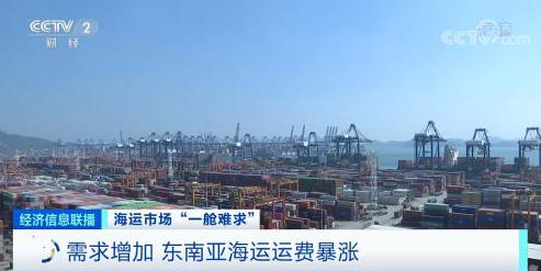 浙江寧波某國(guó)際物流有限公司總經(jīng)理 陳陽(yáng)