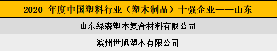 2020 年度中國塑料行業(yè)（塑木制品）十強企業(yè)——山東