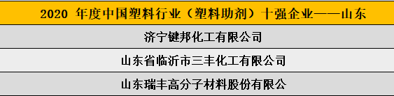 2020 年度中國塑料行業(yè)（塑料助劑）十強企業(yè)——山東