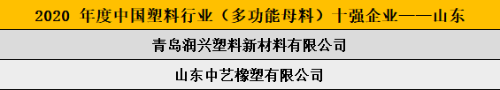 2020 年度中國塑料行業(yè)（多功能母料）十強企業(yè)——山東