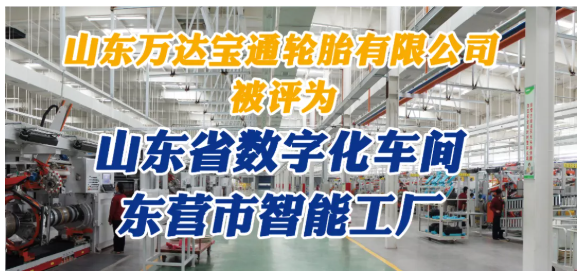 山東萬(wàn)達(dá)寶通輪胎對(duì)其全年工作做了詳細(xì)總結(jié)。