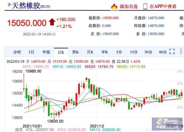 橡膠停割即將開啟，膠價還會攀升？
