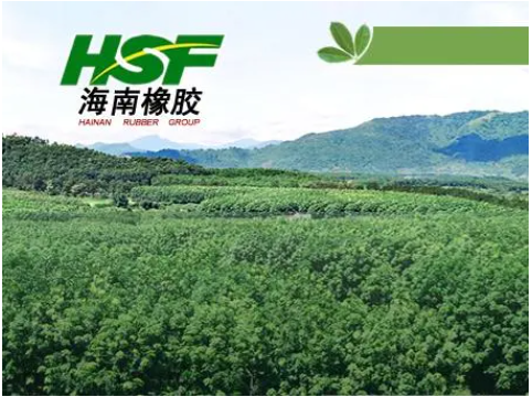 海南橡膠，扣非凈利大跳水