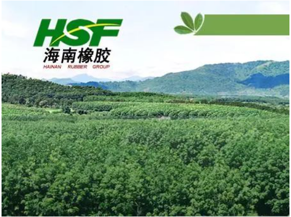 公司在不具有商業(yè)實(shí)質(zhì)的情況下進(jìn)行會計(jì)處理，導(dǎo)致多期年度報(bào)告財(cái)務(wù)信息披露不真實(shí)，違反了多項(xiàng)規(guī)定。