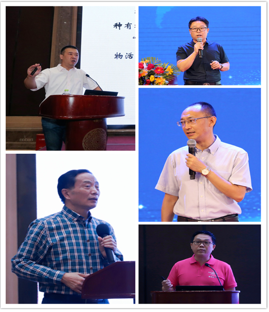 精彩紛呈的專家報告 精彩紛呈的專家報告