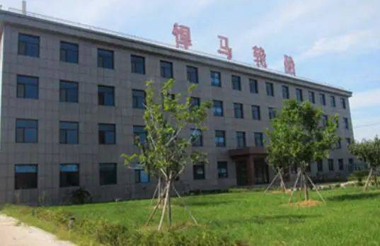 兩家輪胎公司，進(jìn)入省級(jí)名單 