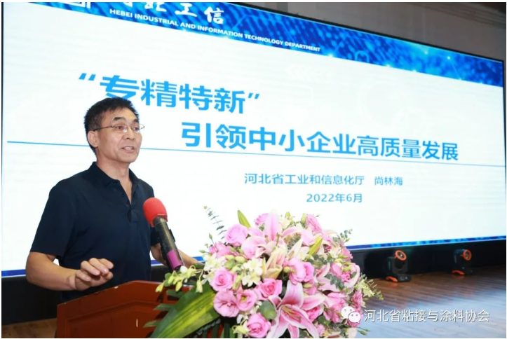 ，河北省工業(yè)和信息化廳尚林海處長(zhǎng)就“專精特新”引領(lǐng)中小企業(yè)高質(zhì)量發(fā)展進(jìn)行專題報(bào)告