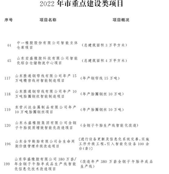 9個(gè)輪胎及行業(yè)相關(guān)項(xiàng)目