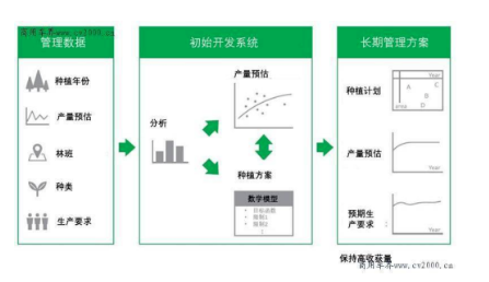普利司通利用大數(shù)據(jù)優(yōu)化橡膠樹種植，助力橡膠園增產(chǎn)