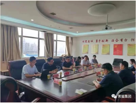 馬良棟一行到黑貓集團調(diào)研