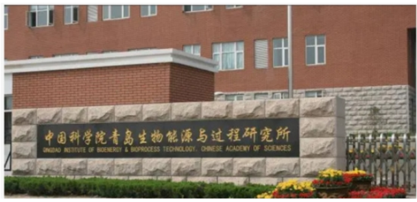 青島能源所的鐵系枝化丁戊橡膠材料通過鑒定 青島能源所的鐵系枝化丁戊橡膠材料通過鑒定