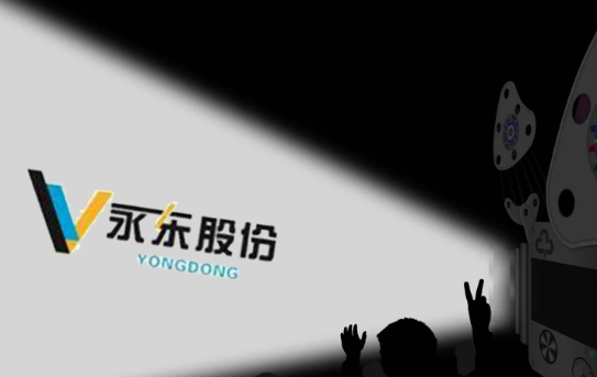 永東股份多項目的進(jìn)展情況