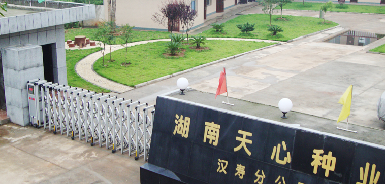 湖南天心種業(yè)股份有限公司年產(chǎn)24萬(wàn)噸生豬飼料生產(chǎn)項(xiàng)目開(kāi)工