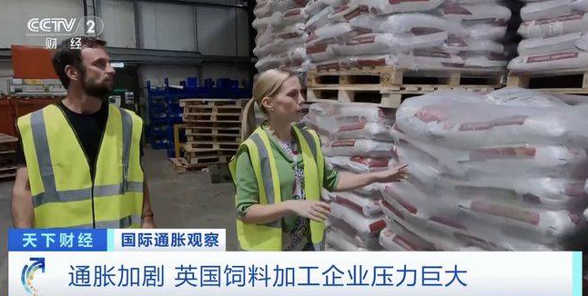 通脹加劇，英國(guó)飼料加工企業(yè)壓力巨大！雞肉價(jià)格已上漲25% 