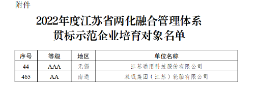 江蘇政府：重點(diǎn)培育這兩家輪胎！