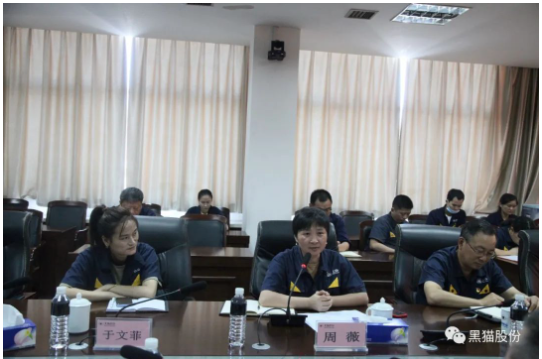 本次兩化融合管理體系貫標(biāo)啟動(dòng)大會(huì)的召開，標(biāo)志著黑貓股份兩化融合工作開啟了新的征程