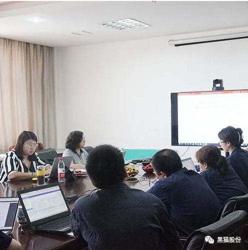 杭州德凱國際認(rèn)證有限公司對江西黑貓?zhí)亢诠煞萦邢薰具M(jìn)行了為期三天的年度監(jiān)審認(rèn)證工作