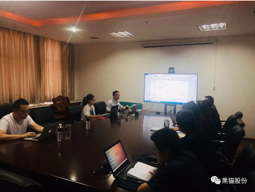 專家一致認(rèn)為黑貓股份在組織內(nèi)部相關(guān)制度規(guī)范、日常生產(chǎn)管理及提升員工凝聚力等方面均符合相關(guān)準(zhǔn)則要求，并推薦認(rèn)證。