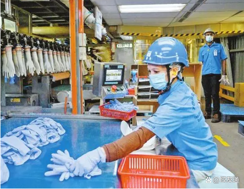 轉(zhuǎn)嫁額外成本是馬來西亞手套制造商面臨的一大挑戰(zhàn) 轉(zhuǎn)嫁額外成本是馬來西亞手套制造商面臨的一大挑戰(zhàn)