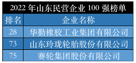 2022山東輪胎領(lǐng)軍企業(yè)，震撼發(fā)布！