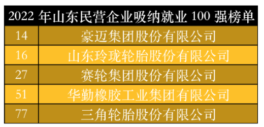 山東民營企業(yè)吸納就業(yè)100強(qiáng)榜單中，豪邁集團(tuán)、玲瓏輪胎、賽輪集團(tuán)、華勤橡膠、三角輪胎位列其中。作為勞動(dòng)力較為密集的制造業(yè)，以上5家輪胎及相關(guān)企業(yè)吸納就業(yè)數(shù)千人。