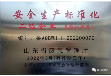 黑貓股份 黑貓股份
