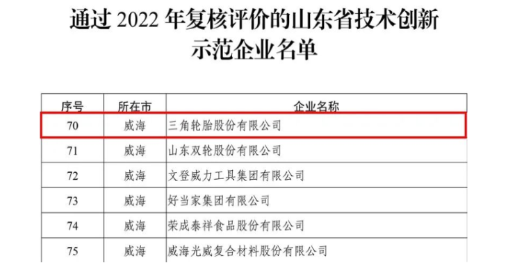 三角通過技術(shù)創(chuàng)新示范企業(yè)復(fù)評