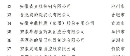 在合肥召開的第五屆2022世界制造業(yè)大會中國民營制造業(yè)合作交流對接會上，正式對外發(fā)布了2022安徽省民營企業(yè)制造業(yè)綜合百強。