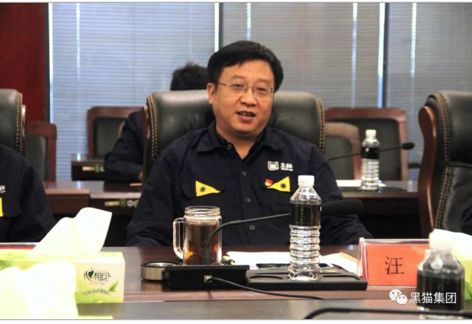 會上，汪羽代表黑貓集團對李雨強一行的到來表示熱烈歡迎，并簡要介紹了集團關(guān)于企業(yè)發(fā)展、海外市場、國際業(yè)務(wù)等工作情況。他表示，集團將繼續(xù)加強與省外辦、市外辦對接聯(lián)系，全力以赴做好集團外事工作，提高國際交流合作水平。