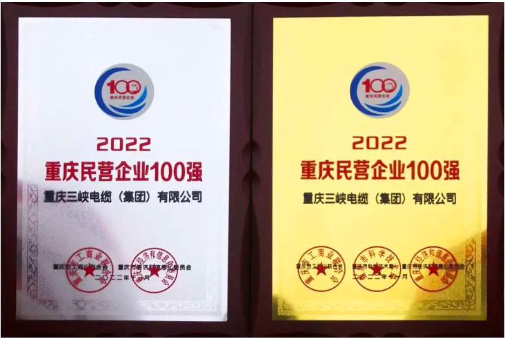 三峽電纜蟬聯(lián)“重慶民營企業(yè)100強”“重慶制造業(yè)民營企業(yè)100強”