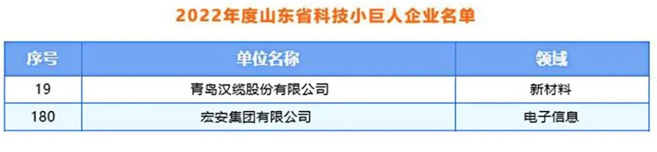 青島漢纜股份、宏安集團(tuán)入選2022年度山東省科技領(lǐng)軍企業(yè)名單
