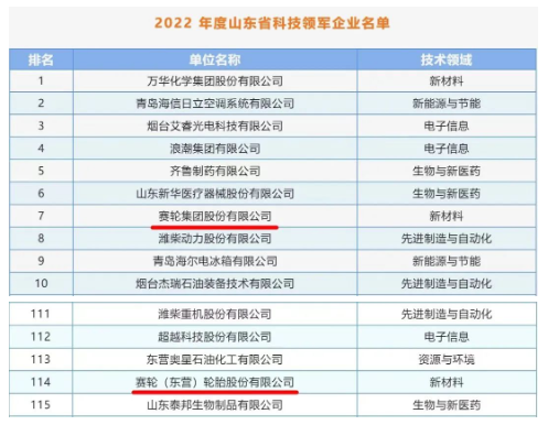 賽輪集團入選2022年度山東省科技領軍企業(yè)