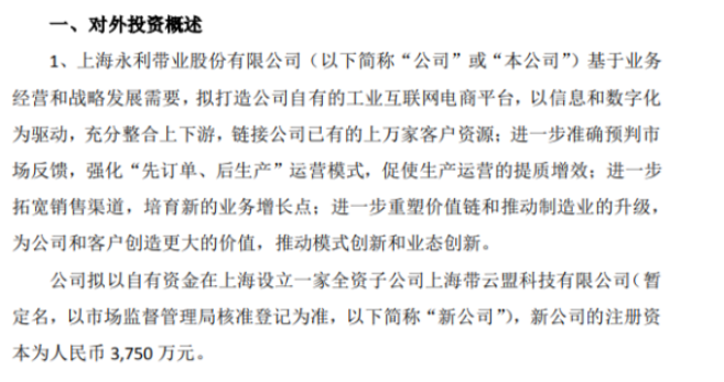 永利股份擬以自有資金在上海投資3750萬(wàn)設(shè)立一家全資子公司上海帶云盟科技有限公司