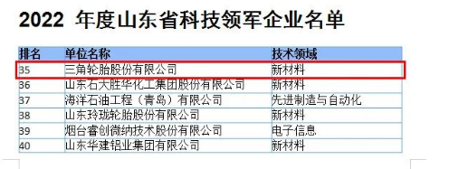 科技硬實(shí)力，三角輪胎入選山東領(lǐng)軍企業(yè)