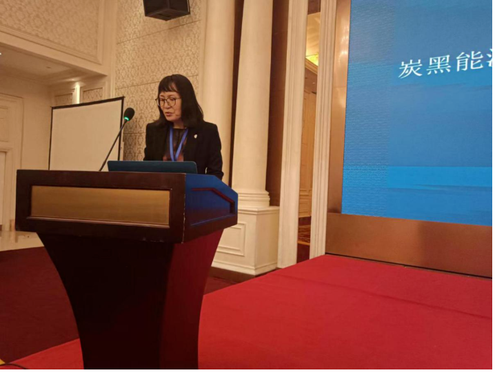 中橡協(xié)炭黑分會秘書長丁麗萍，向參會代表匯報了炭黑分會近期工作情況及2023年重點工作安排，包括3項團體標準的立項和《炭黑制造技術(shù)與科學》新書編制出版等。