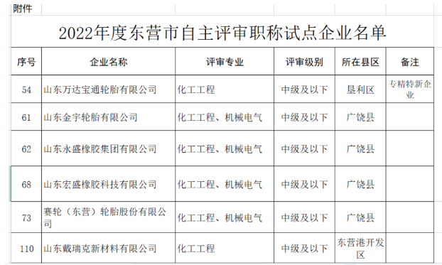 職稱自主評審，5家輪胎企業(yè)試點！
