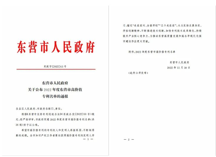 耐斯特炭黑公司發(fā)明專利榮獲東營市高價值專利