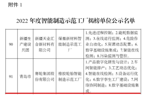 賽輪集團，上榜國家級名單