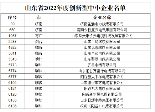 多家電線電纜企業(yè)被評(píng)為“山東省2022年度創(chuàng)新型中小企業(yè)” 多家電線電纜企業(yè)被評(píng)為“山東省2022年度創(chuàng)新型中小企業(yè)”