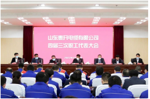 　泰開電纜董事長盧俊良作重要講話。
