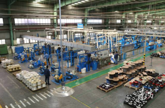 郭懷晉一行來到東莞華新電線電纜有限公司調(diào)研