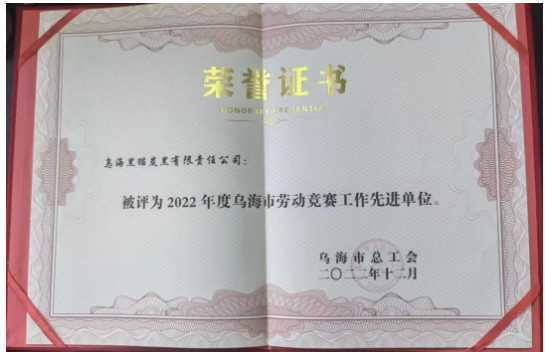 喜訊！烏海黑貓公司榮獲“烏海市勞動(dòng)競(jìng)賽工作先進(jìn)單位”稱號(hào)